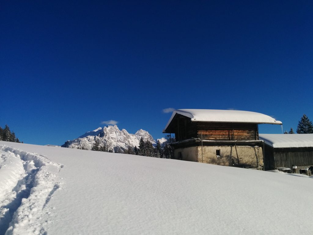 Krepper Loferer Alm Winter