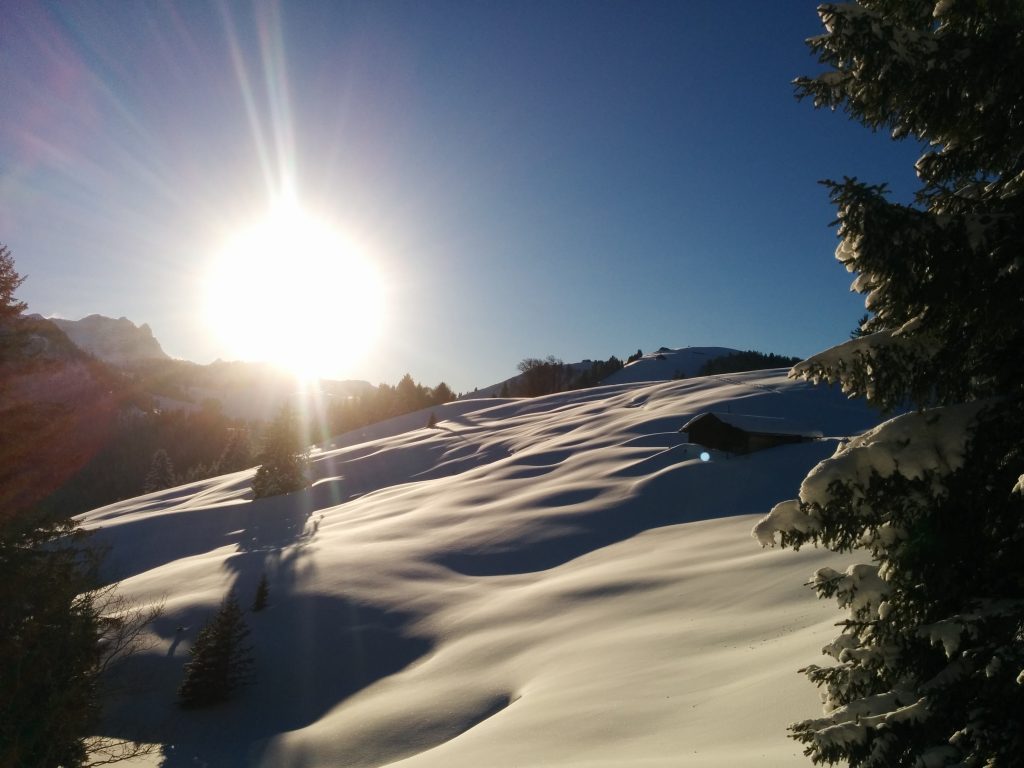 Almenwelt Lofer Winter Panorama