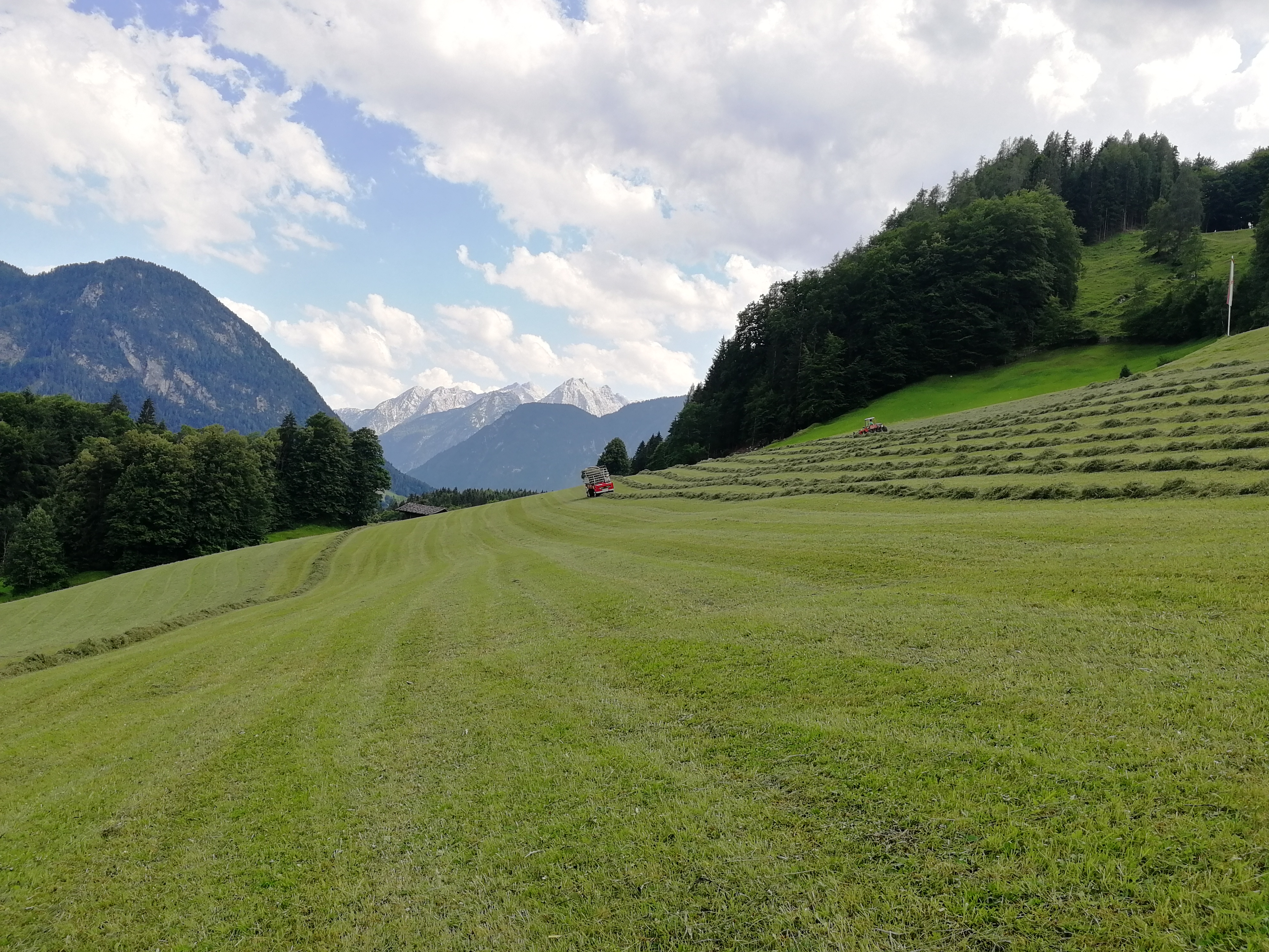 Krepper Lofer Heuernte Sommer