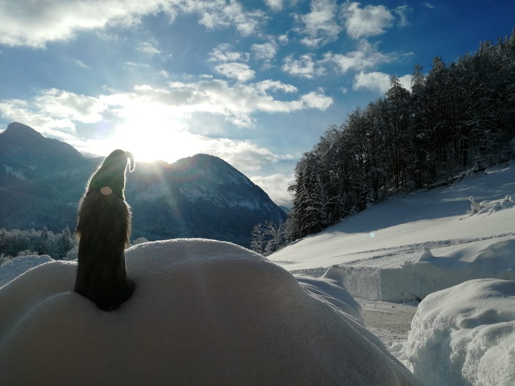 Krepper Schnee Lofer Winter Saalachtal