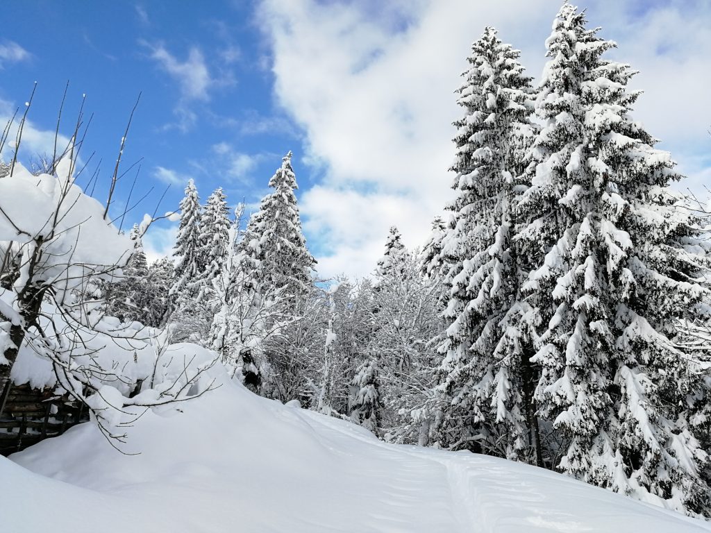 Krepper Schnee Lofer Winter Saalachtal