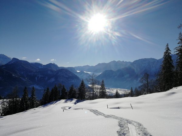 Lofer Krepper Restaurant Bauernhof Biohof Winter