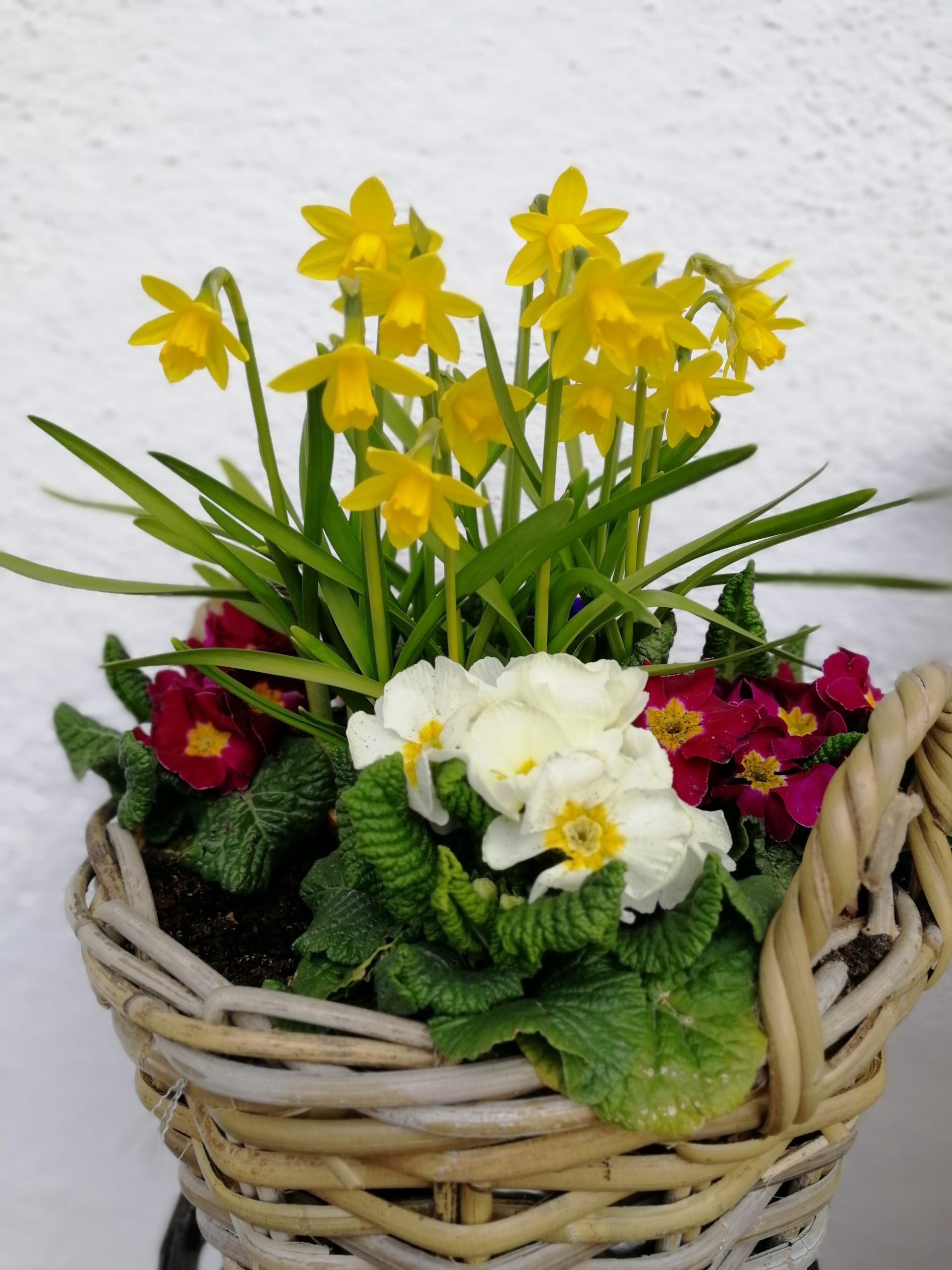 Lofer Krepper Restaurant Bauernhof Biohof Frühling Garten
