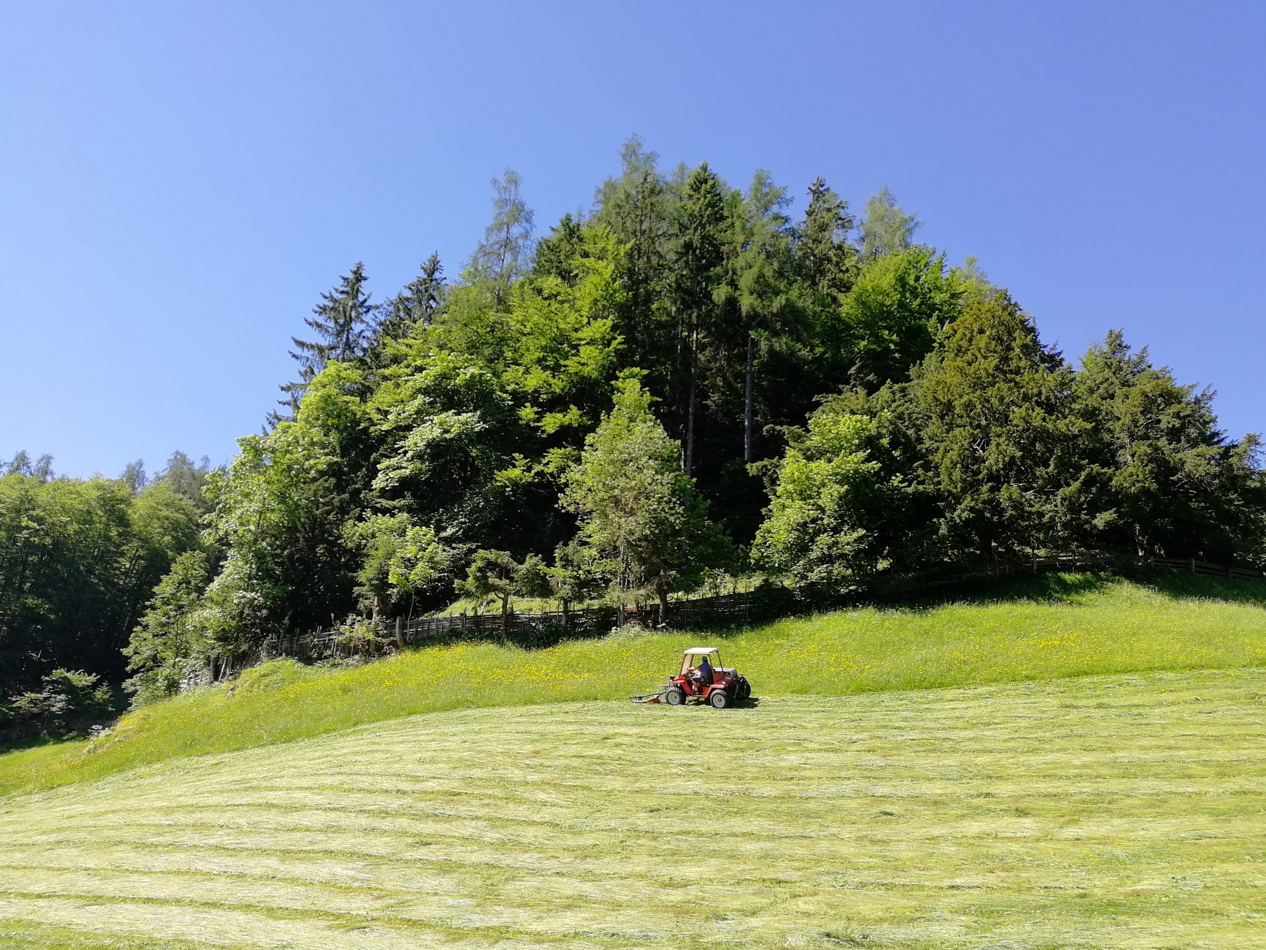 Krepper Lofer Hay Harvest