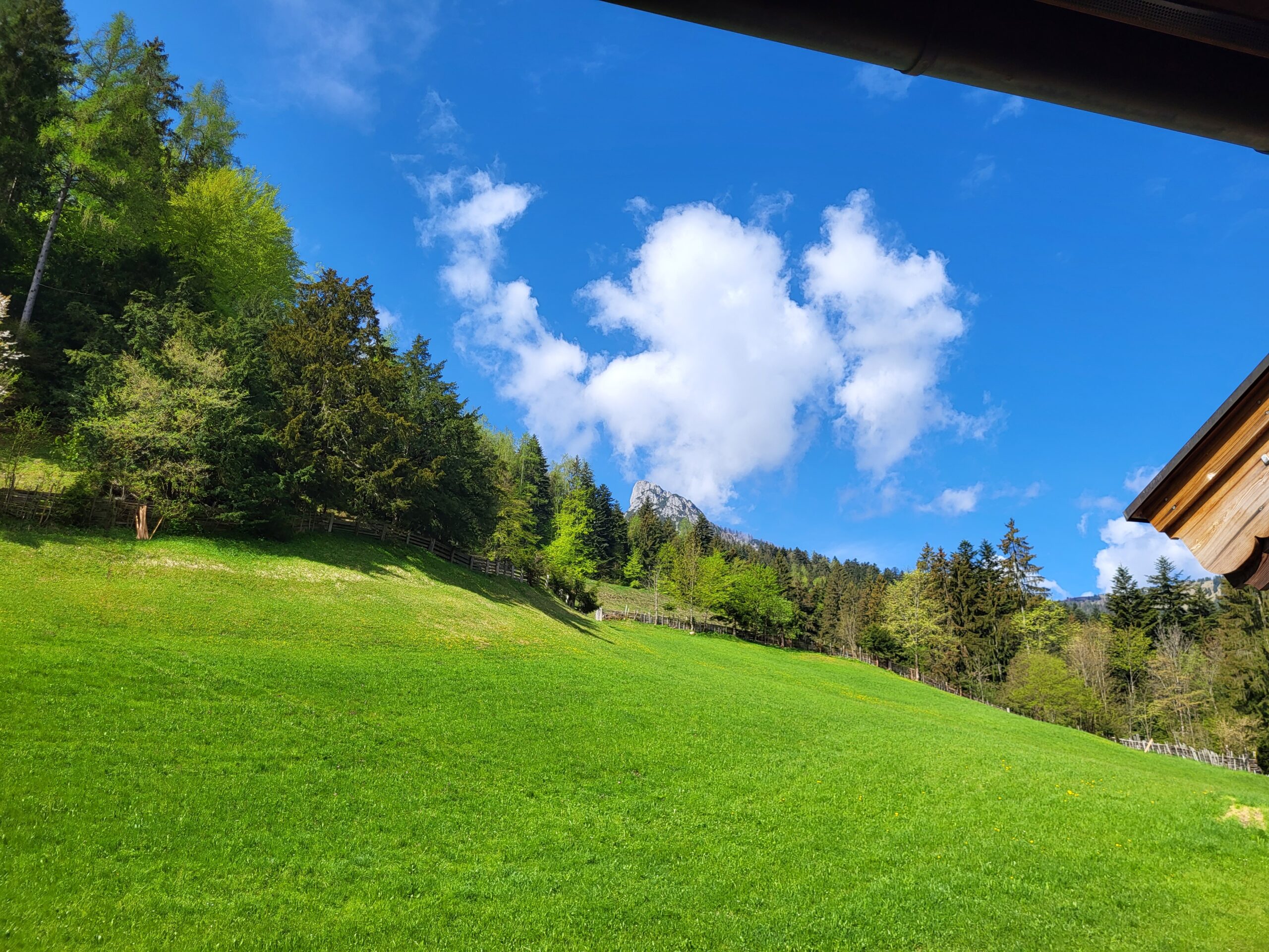 Krepper Lofer Zimmer Bergblick