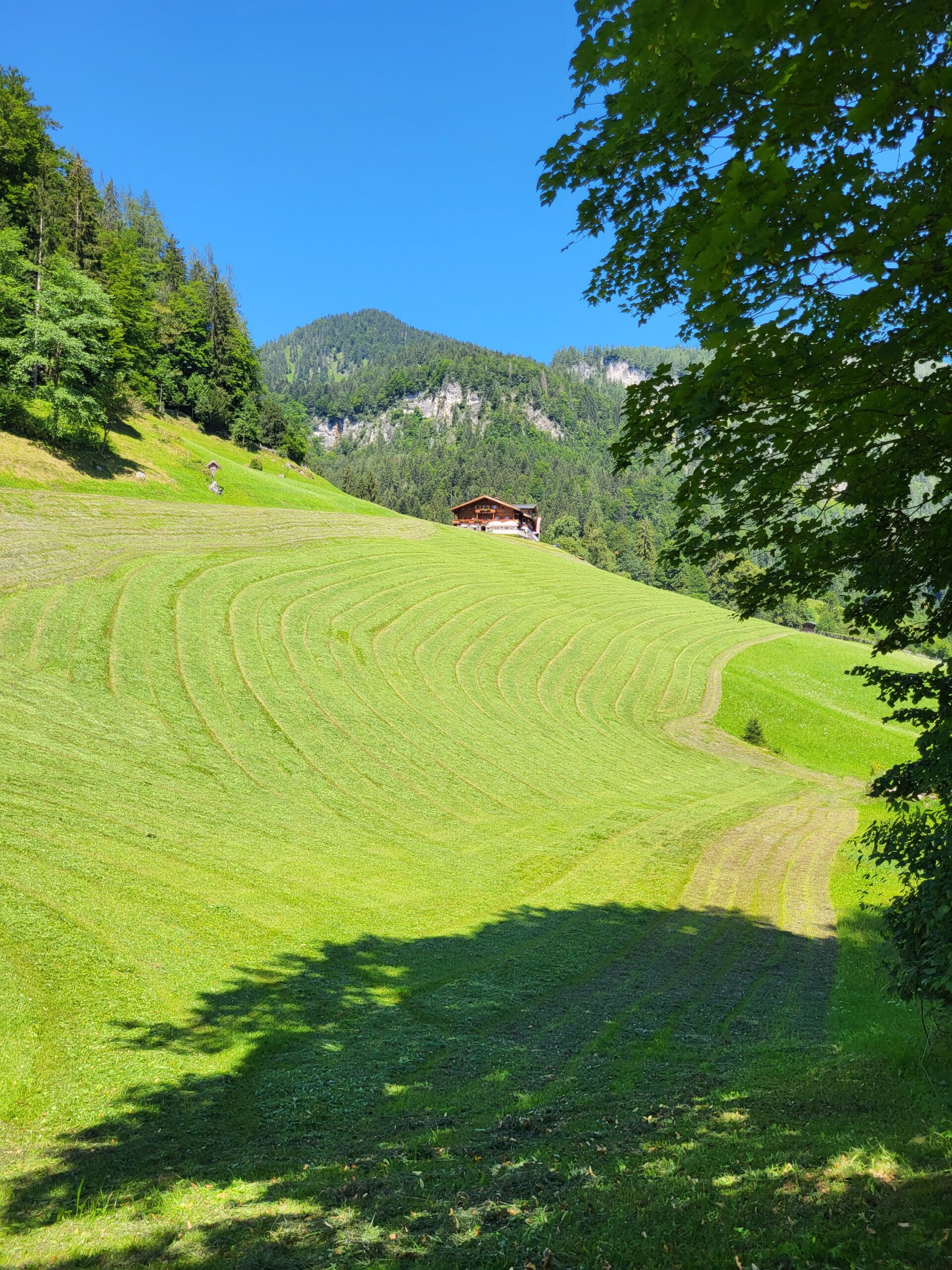 Krepper Lofer Sommer Restaurant Heuernte Bauernhof