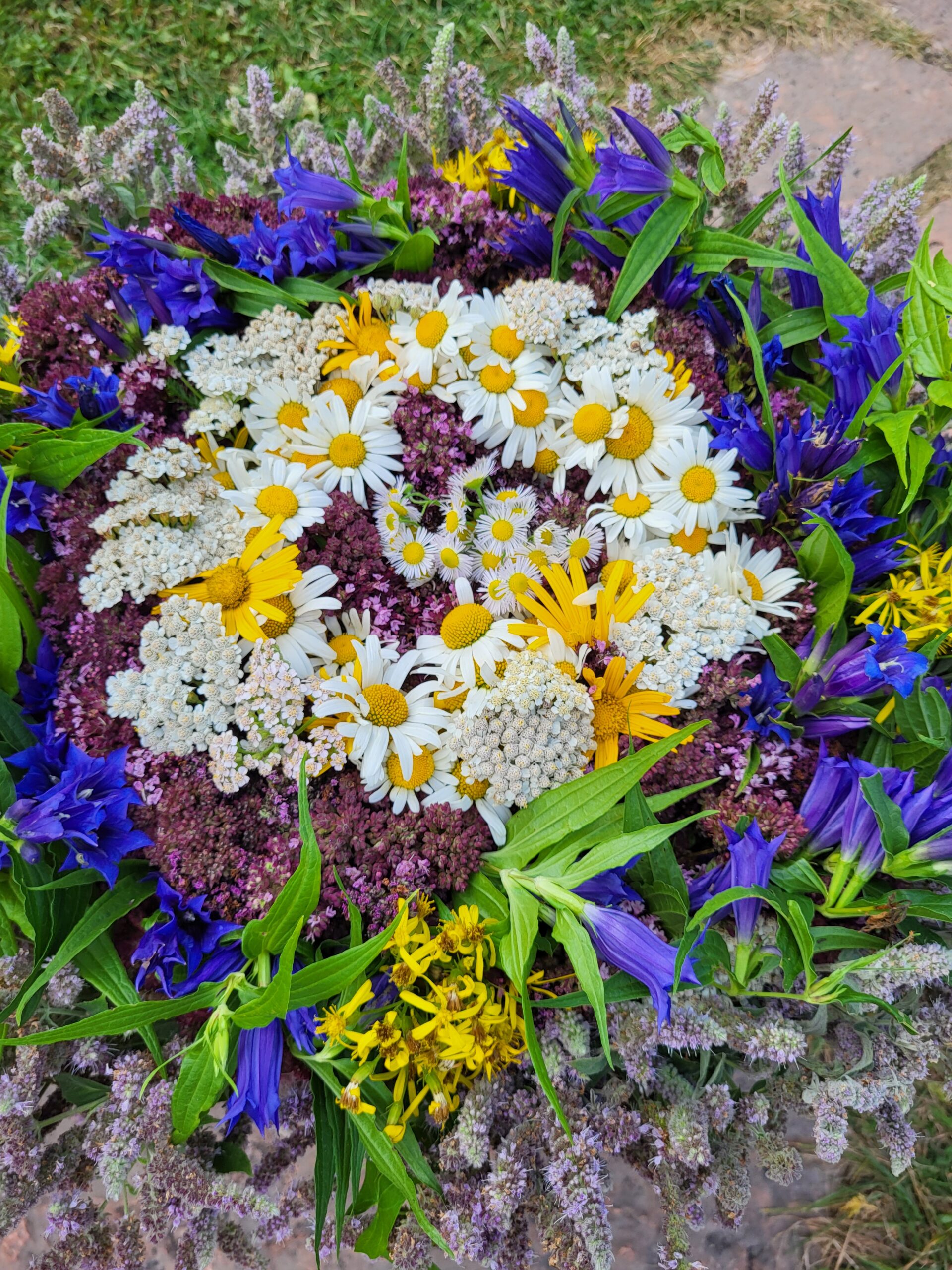 Krepper Lofer Austria Farm Flowers