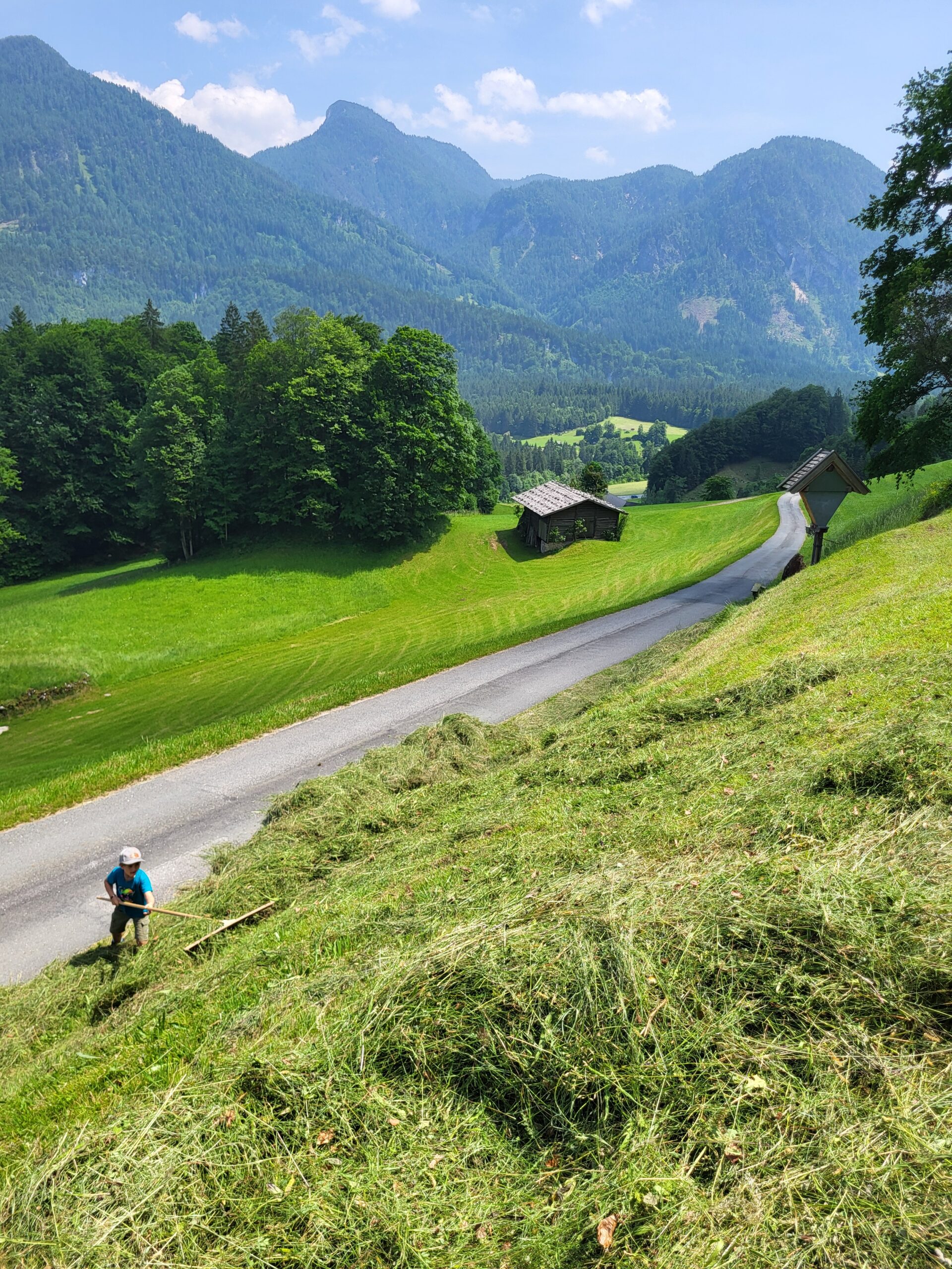 Krepper Lofer Summer Landscape Salzburger Saalachtal Farm