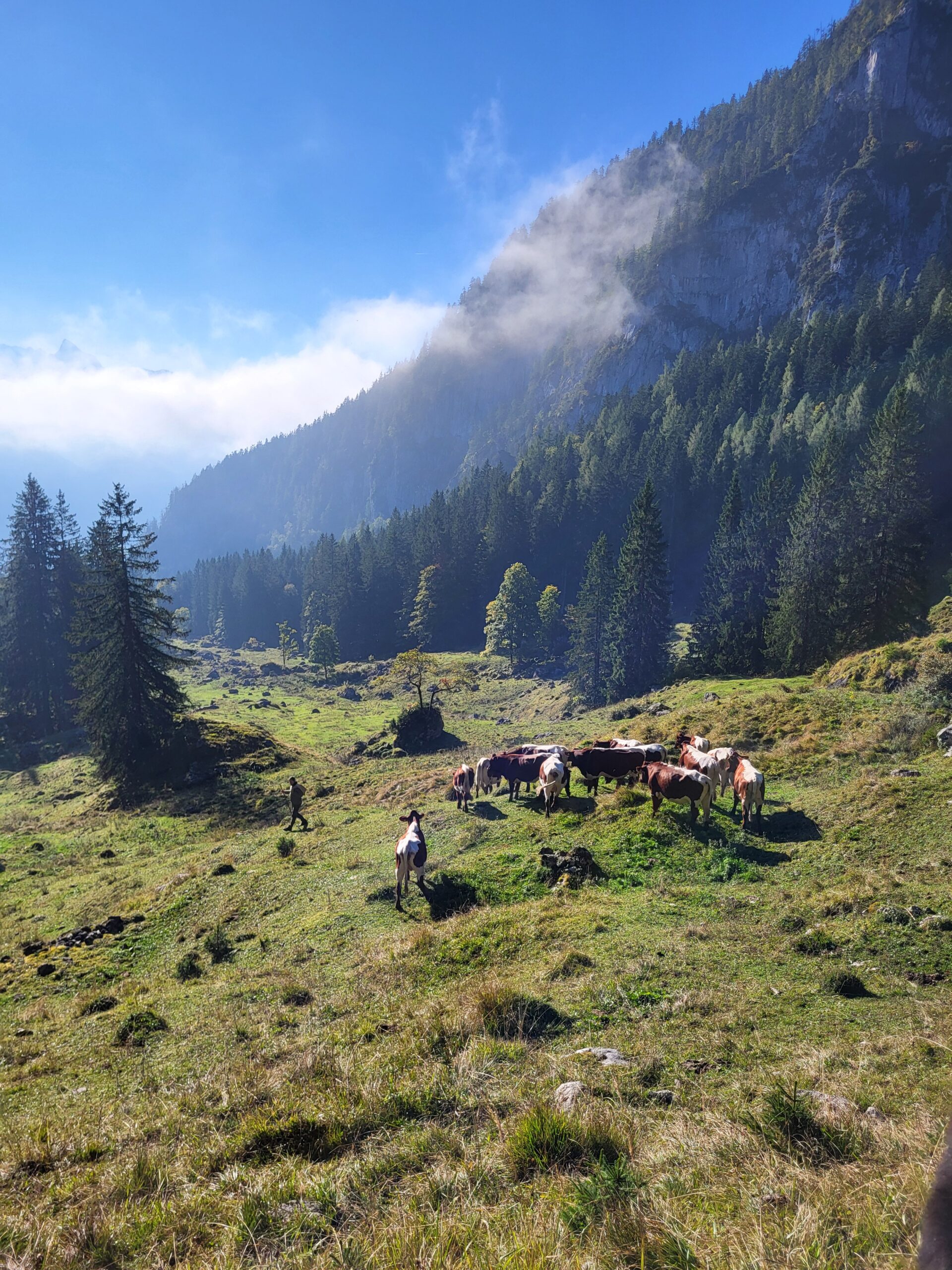 Krepper Lofer Restaurant Summer Food Salzburger Saalachtal