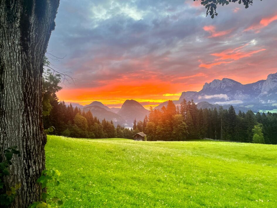 Krepper Lofer Restaurant Summer Food Salzburger Saalachtal
